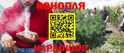 гидропоника Краснокаменск